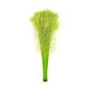 Peacock Eyes Bleach Selected 25-40 inch --Lime