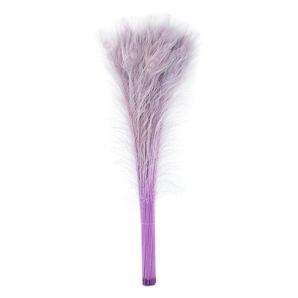 Peacock Eyes Bleach Selected 25-40 inch --Orchid