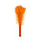 Peacock Eyes Bleach Selected 25-40 inch --Orange