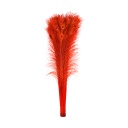 Peacock Eyes Bleach Selected 25-40 inch --Red