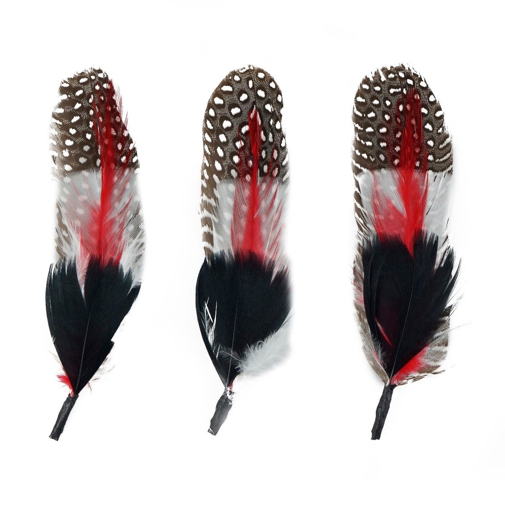 Hackle/GuineaTurkey Trim 5-6 inch   3PC PKG --Black/Red/White/Natural