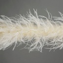Ostrich Boa Two Ply 2yd --Ivory