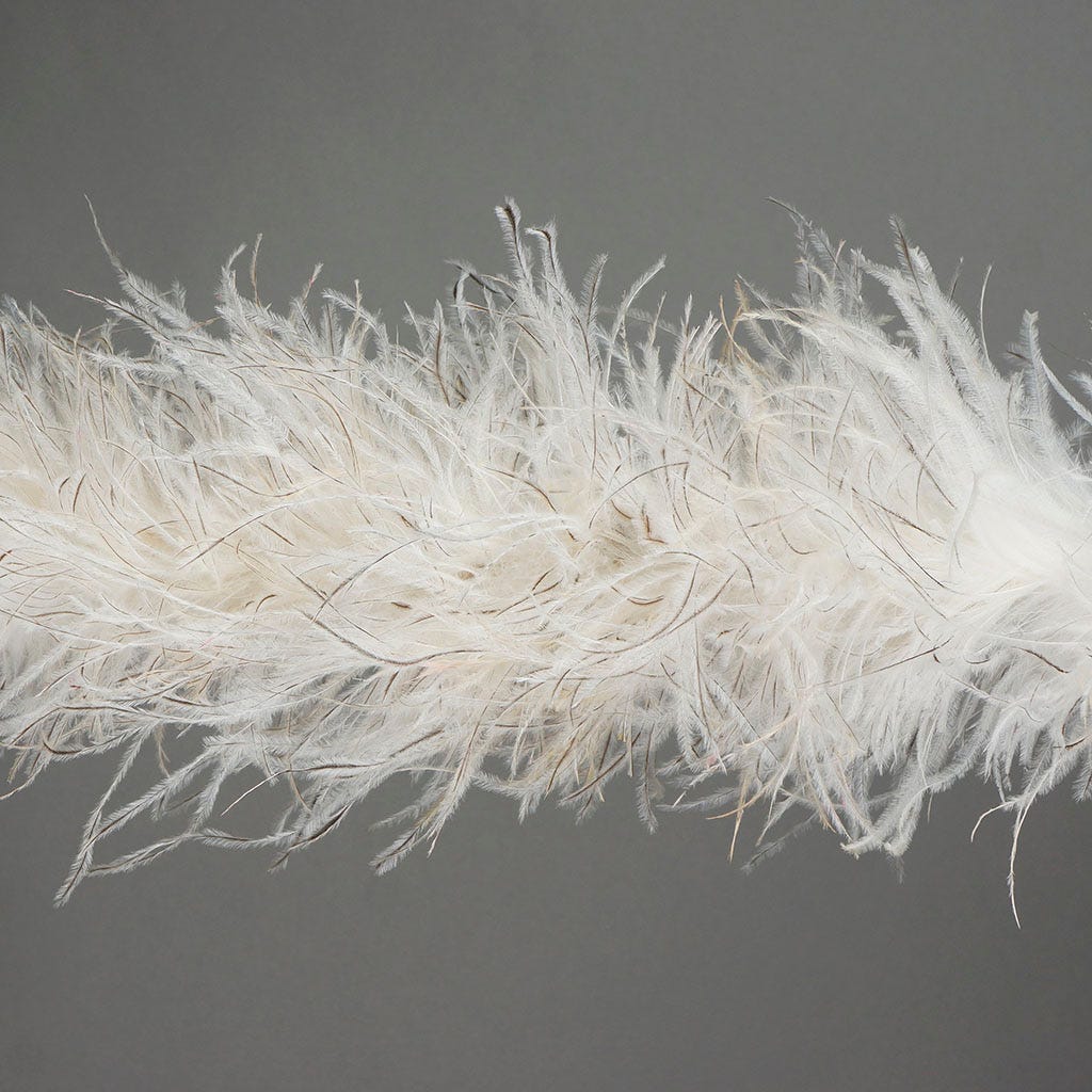 Ostrich Boa Two Ply 2yd --Natural