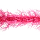 Ostrich Boa Two Ply 2yd --Raspberry Sorbet