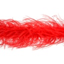 Ostrich Boa Two Ply 2yd --Red