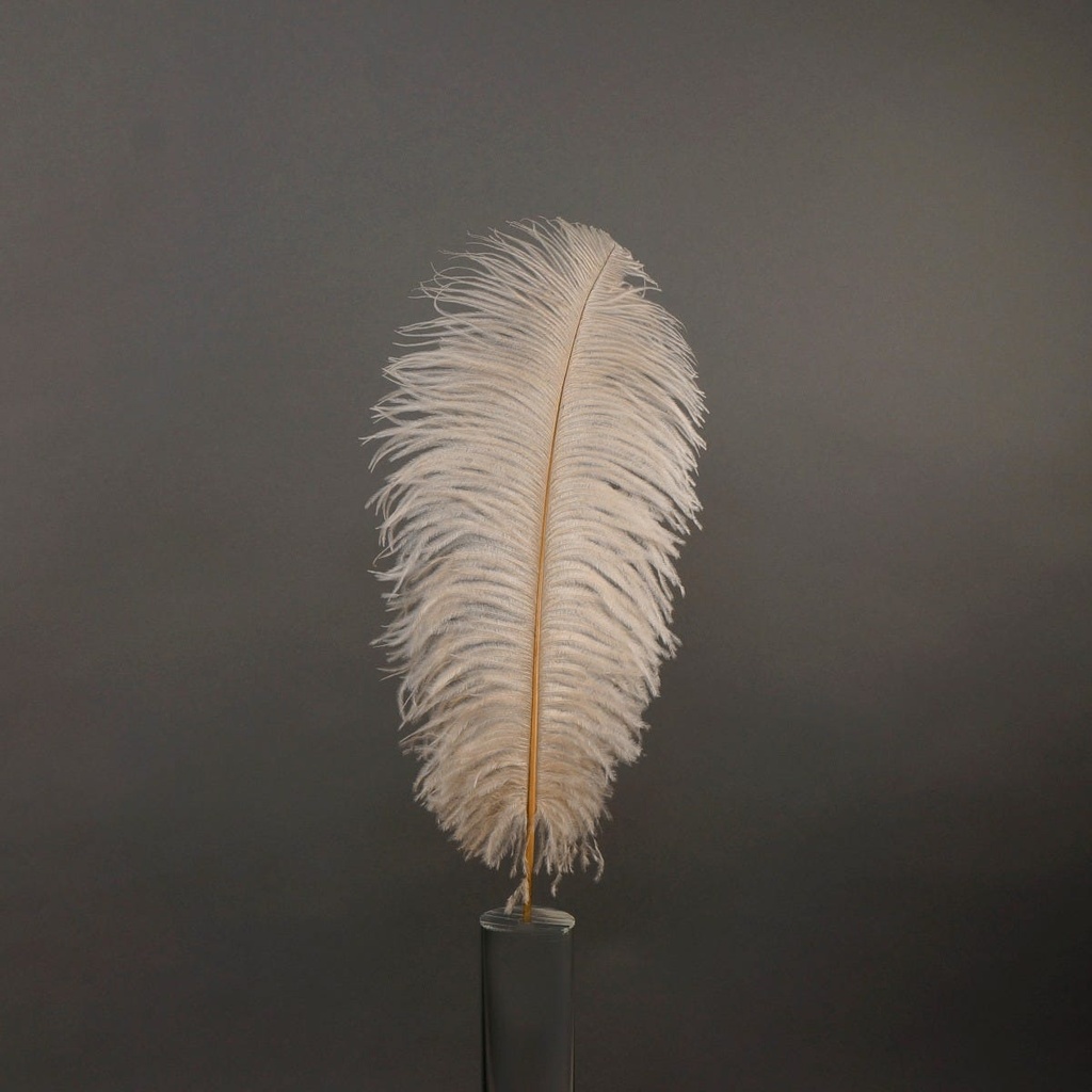 Ostrich Plumes Selected 17 inch & UP   1PC PKG --Beige