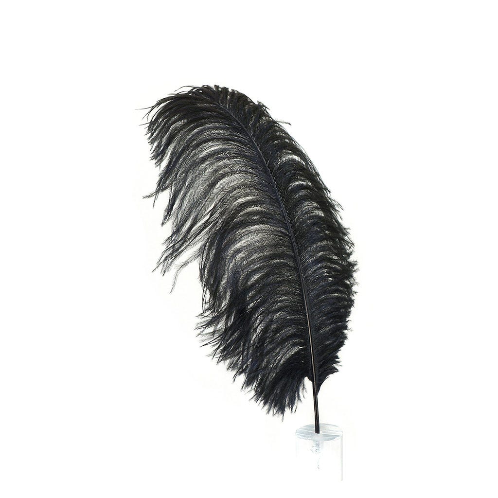 Ostrich Plumes Selected 17 inch & UP   1PC PKG --Black