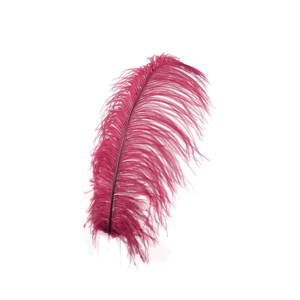 Ostrich Plumes Selected 17 inch & UP   1PC PKG --Burgundy