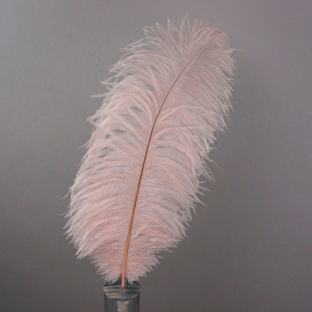Ostrich Plumes Selected 17 inch & UP   1PC PKG --Champagne