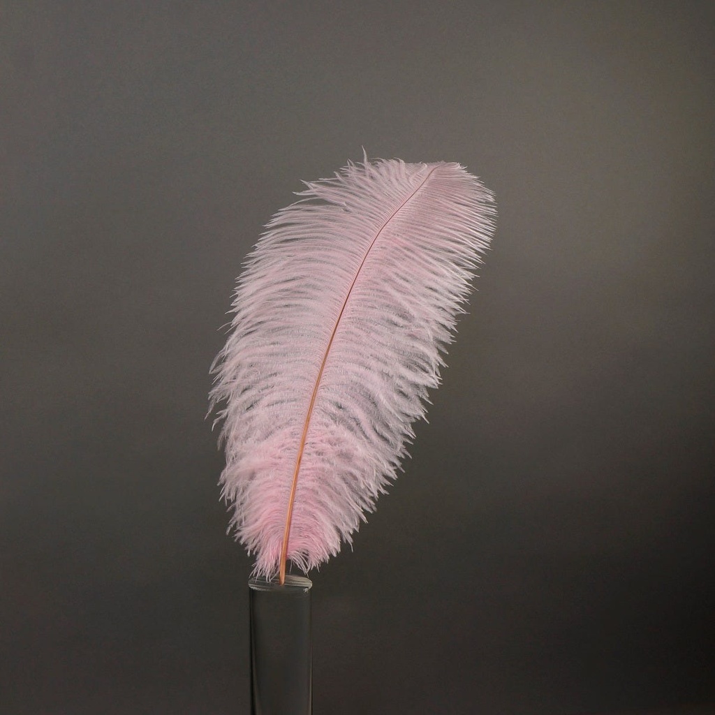 Ostrich Plumes Selected 17 inch & UP   1PC PKG --Candy Pink