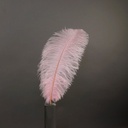 Ostrich Plumes Selected 17 inch & UP   1PC PKG --Candy Pink