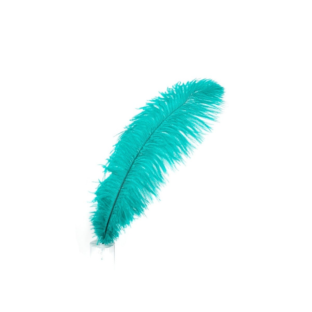 Ostrich Plumes Selected 17 inch & UP   1PC PKG --Dark Aqua