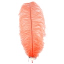 Ostrich Plumes Selected 17 inch & UP   1PC PKG --Hot Orange