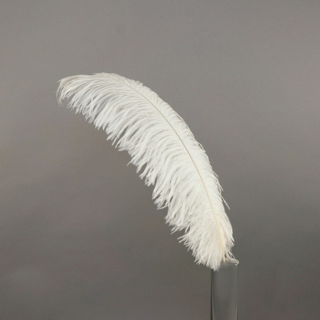 Ostrich Plumes Selected 17 inch & UP   1PC PKG --Ivory