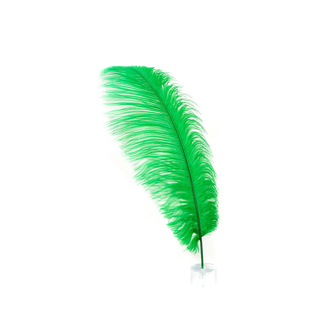 Ostrich Plumes Selected 17 inch & UP   1PC PKG --Kelly