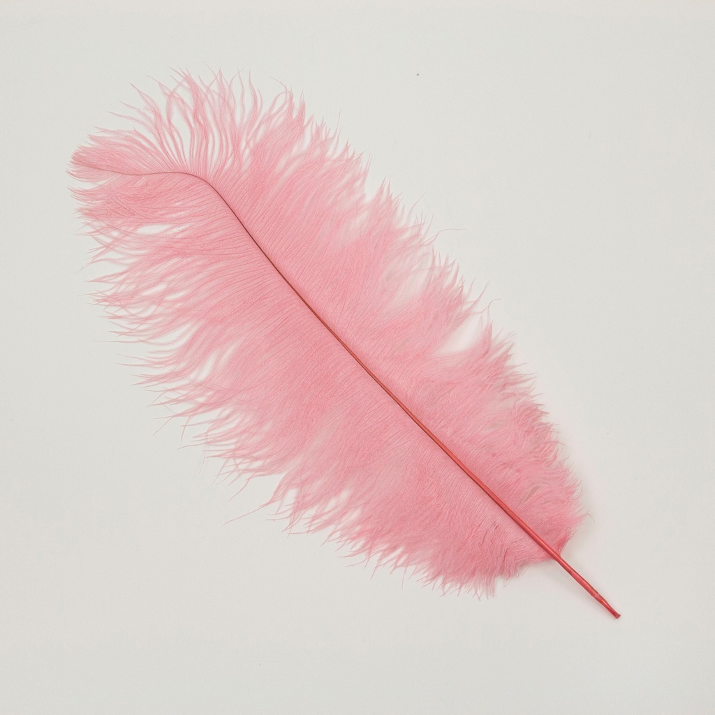 Ostrich Plumes Selected 17 inch & UP   1PC PKG --Met Gala Potpourri