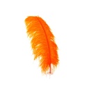 Ostrich Plumes Selected 17 inch & UP   1PC PKG --Orange