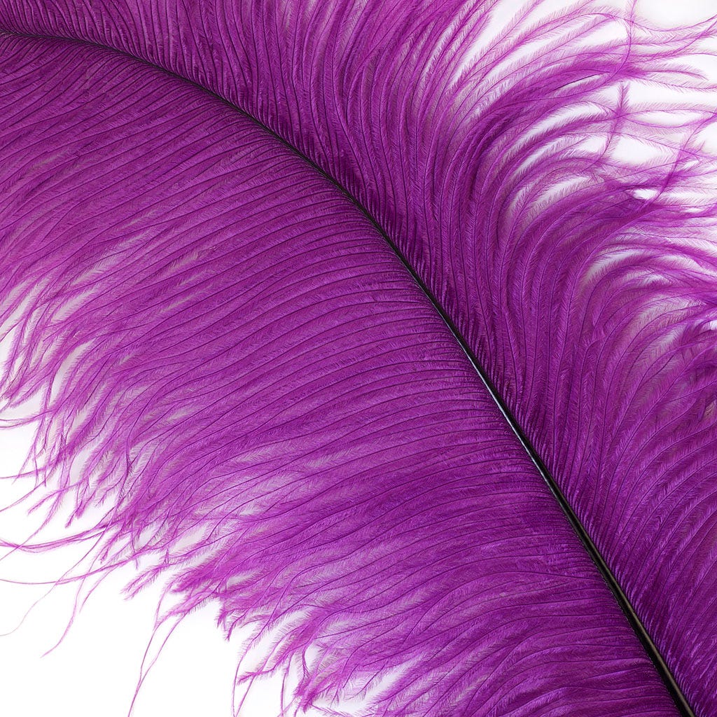 Ostrich Plumes Selected 17 inch & UP   1PC PKG --Purple