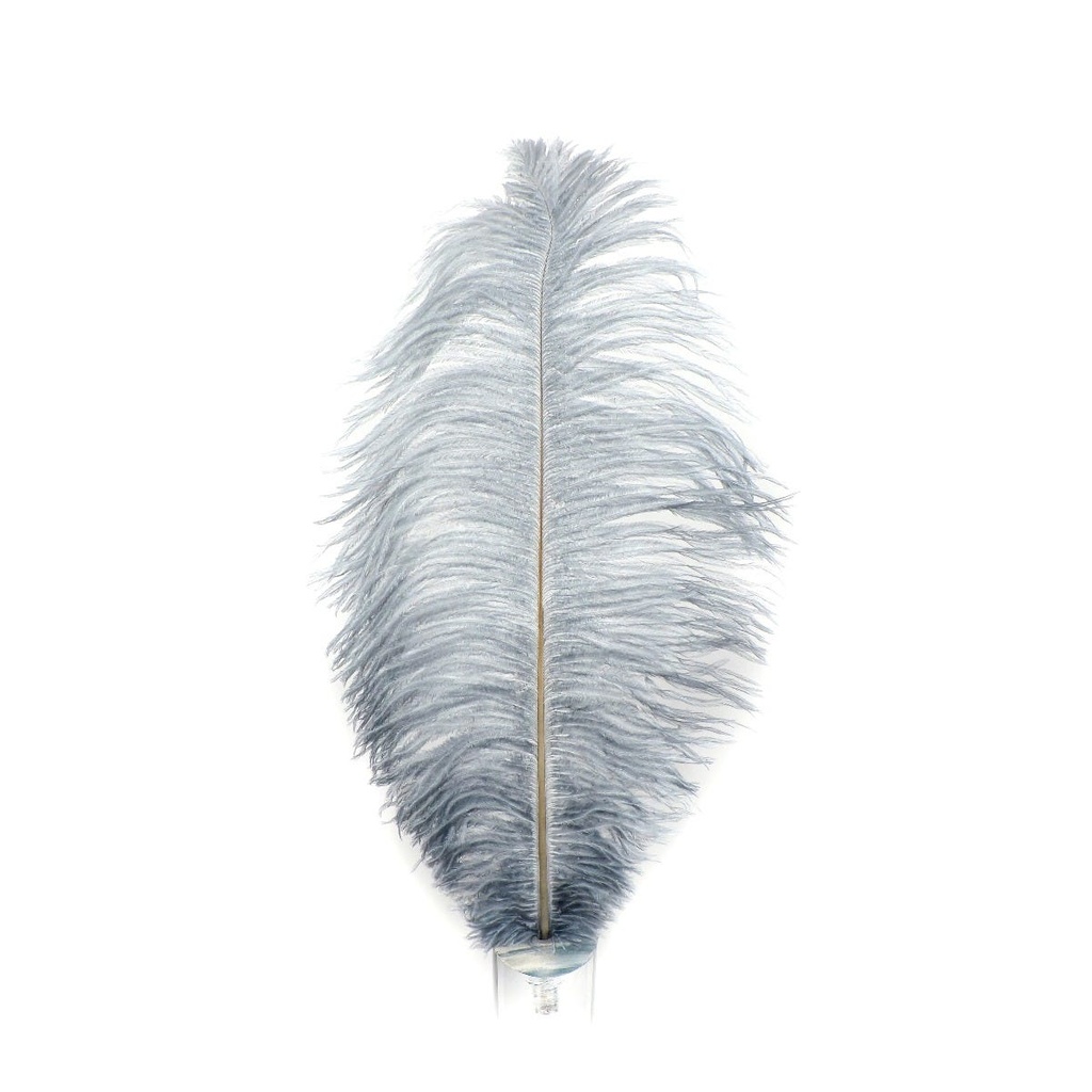 Ostrich Plumes Selected 17 inch & UP   1PC PKG --Silver