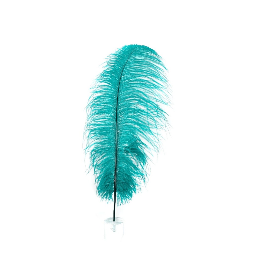 Ostrich Plumes Selected 17 inch & UP   1PC PKG --Teal