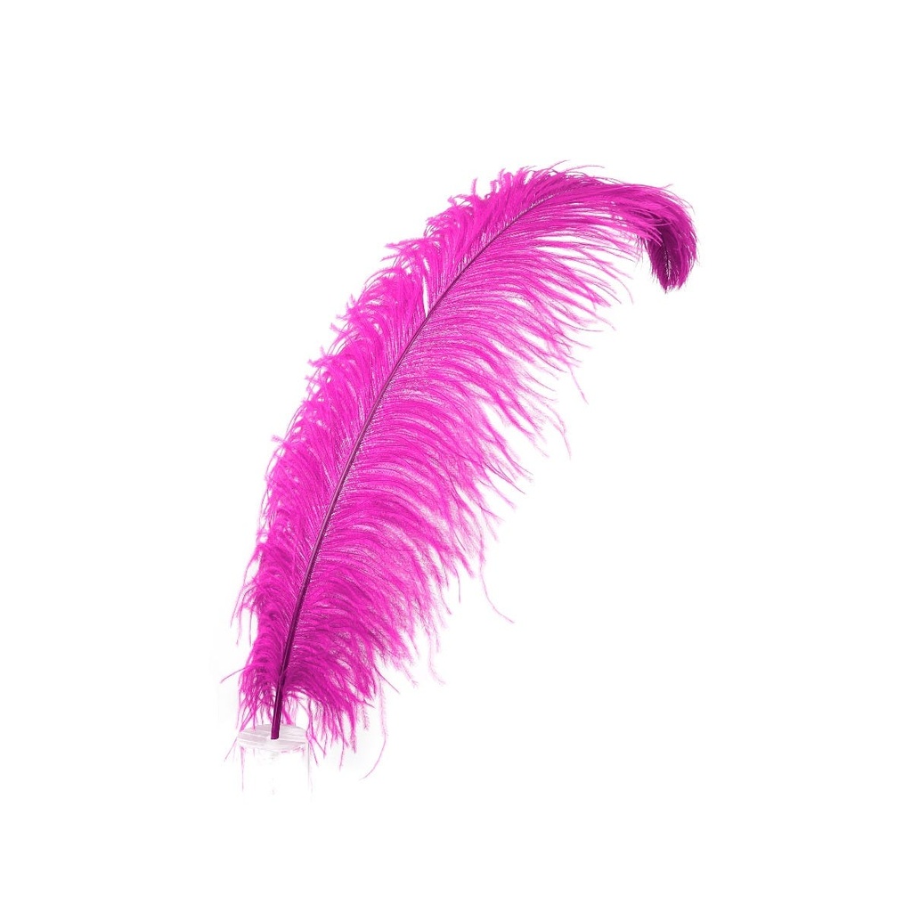 Ostrich Plumes Selected 17 inch & UP   1PC PKG --Very Berry