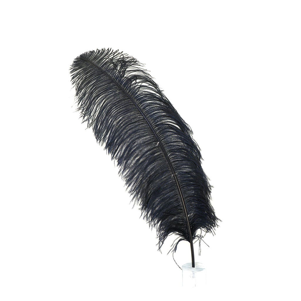 Ostrich Prime Femina 17-27 inch   25PC PKG --Black