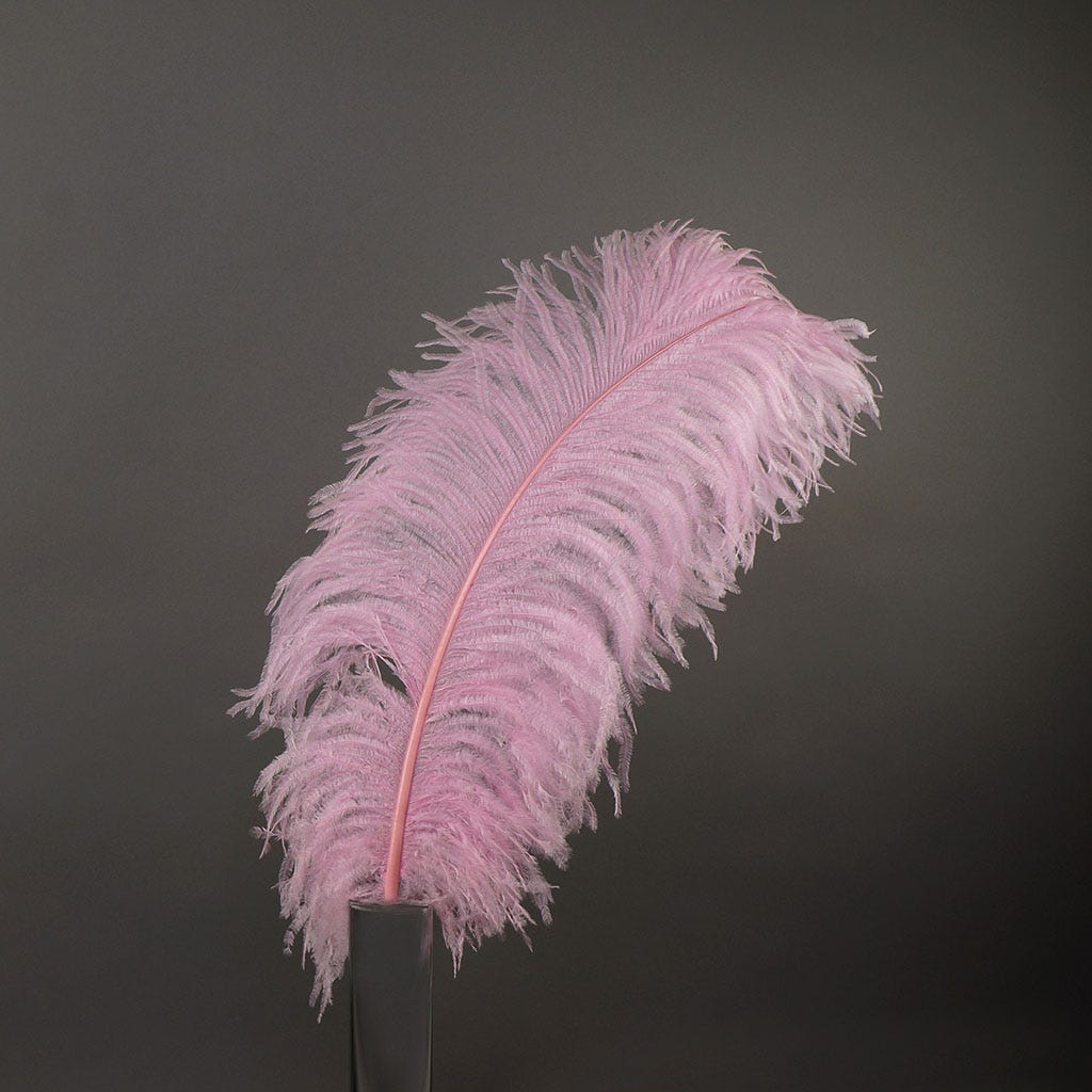 Ostrich Femina Wide Prime Selected 1PC PKG 17-27 inch --Candy Pink