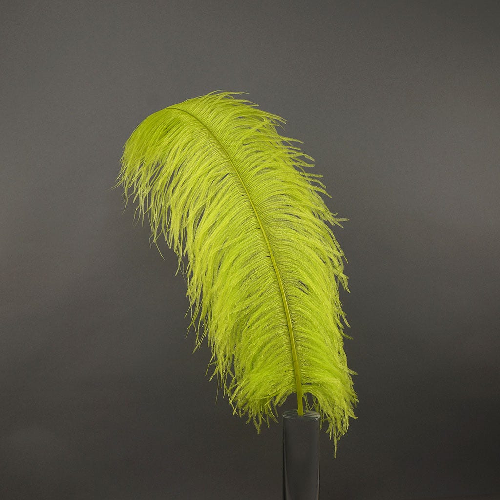 Ostrich Femina Wide Prime Selected 1PC PKG 17-27 inch --Lime