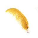 Ostrich Femina Wide Prime Selected 1PC PKG 17-27 inch --Marigold