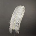Ostrich Femina Wide Prime Selected 1PC PKG 17-27 inch --Natural