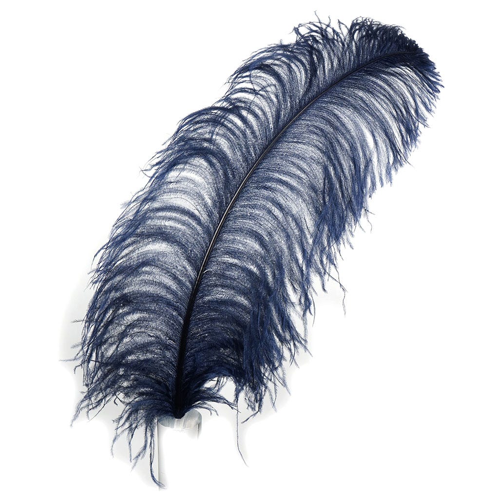 Ostrich Femina Wide Prime Selected 1PC PKG 17-27 inch --Navy