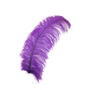 Ostrich Femina Wide Prime Selected 1PC PKG 17-27 inch --Purple