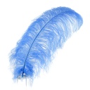 Ostrich Femina Wide Prime Selected 1PC PKG 17-27 inch --Sky