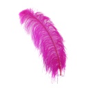 Ostrich Femina Wide Prime Selected 1PC PKG 17-27 inch --Shocking Pink
