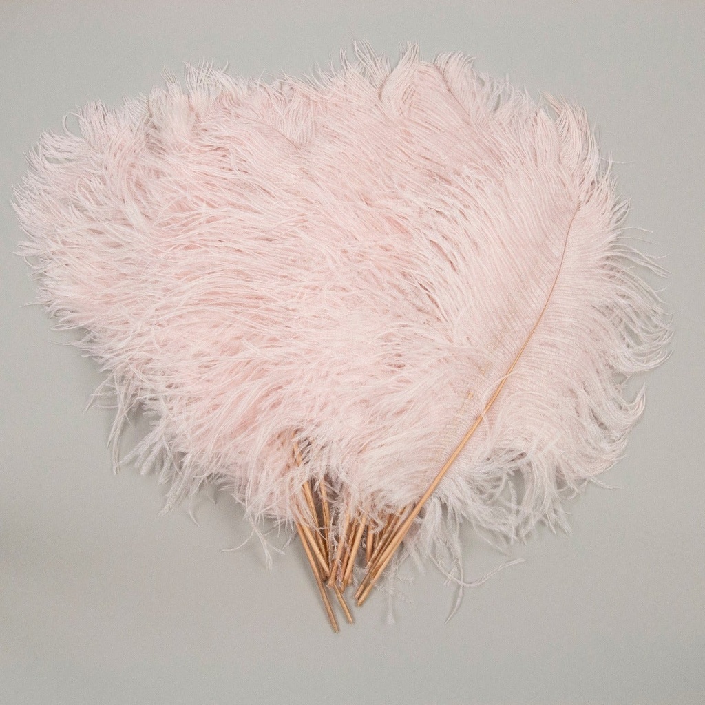 Ostrich Tails 30PC PKG 16-18 inch --Champagne