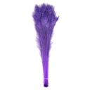 Peacock Eyes Bleach Selected 25-40 inch --Fluorescent Lilac