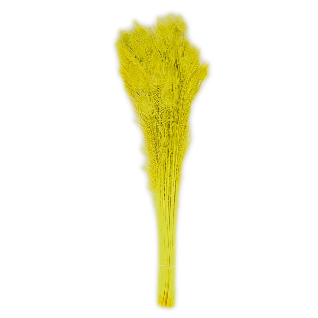 Peacock Eyes Bleach Selected 25-40 inch --Fluorescent Yellow