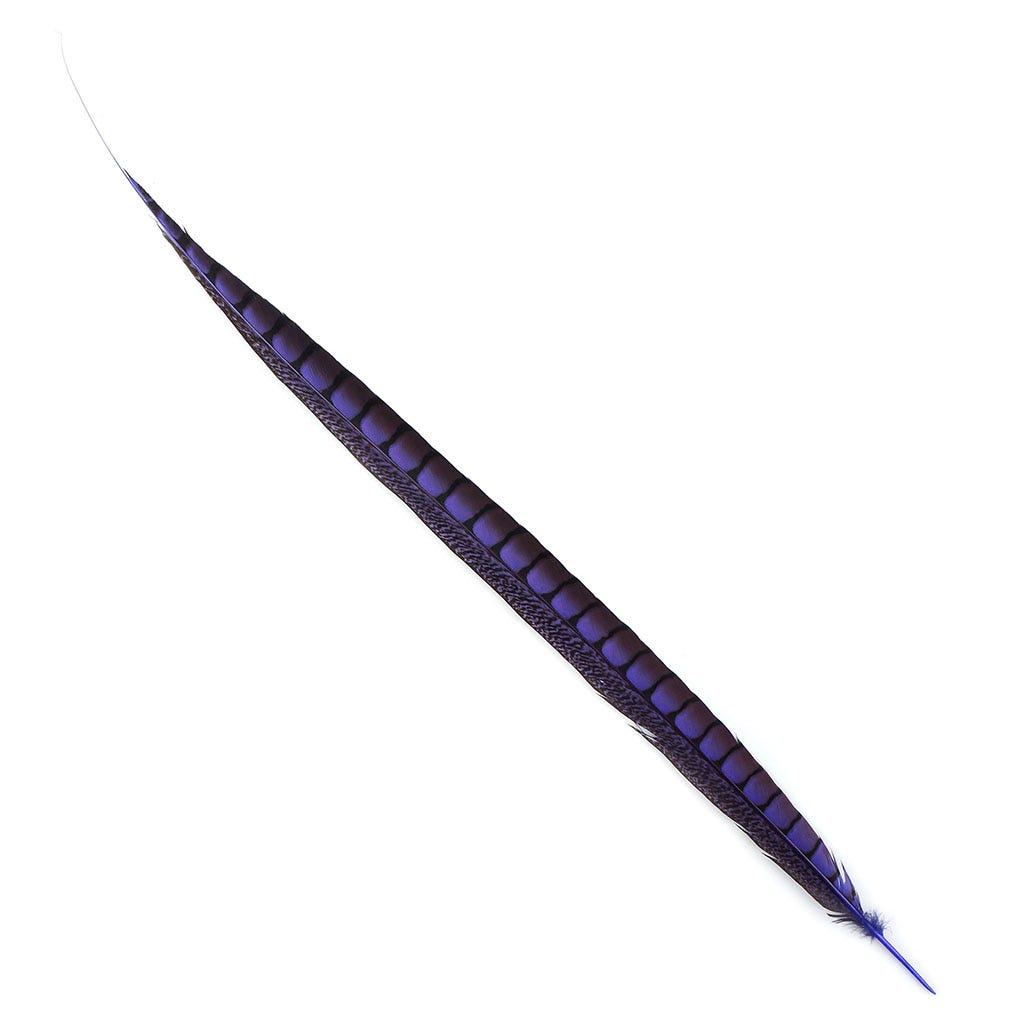 PH TAIL LDY AMH SEL 20-30-inch- FLL 1PC