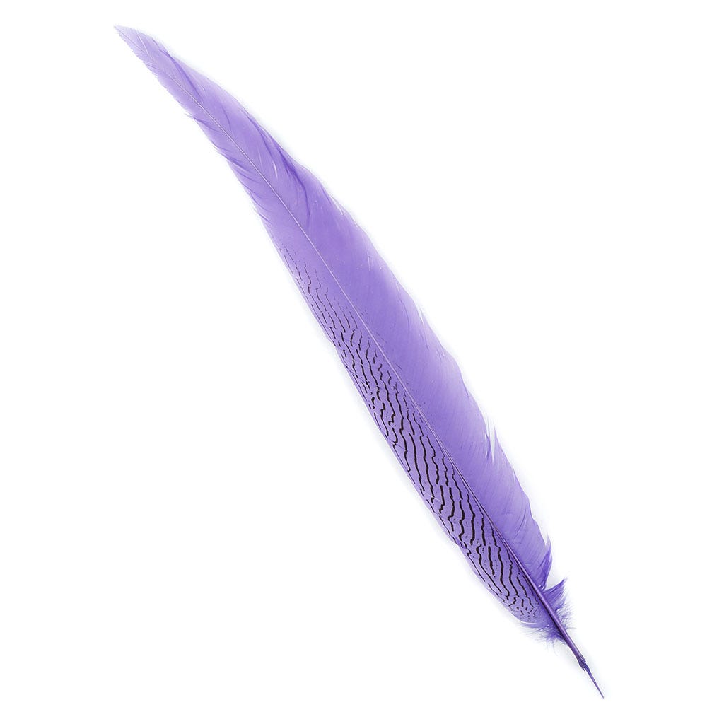 PH TAIL SILVER SEL 20-25-inch- LV 1PC