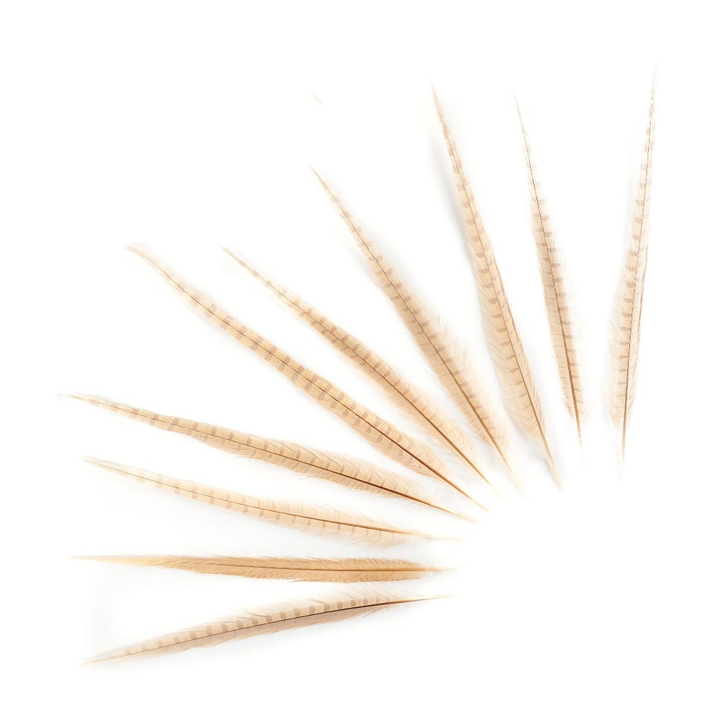 PH TL BLCH-NAT 14-18-inch- 10PC-PKG EG