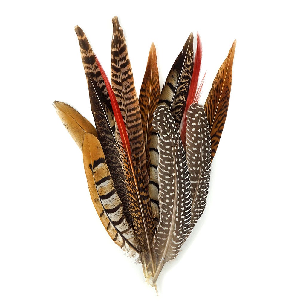 Pheasant/Guinea Festival Mix 6-12 inch   12PC PKG --Natural