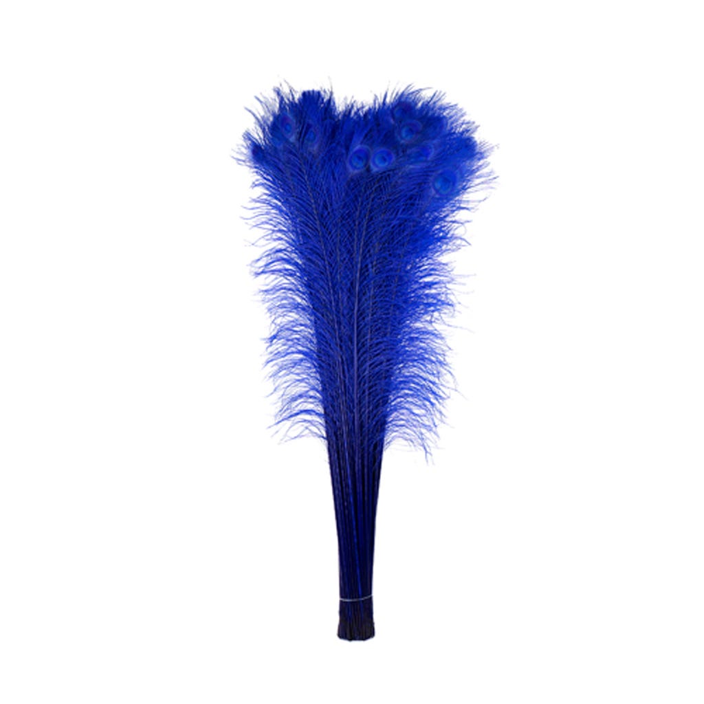 Peacock Eyes Bleach Selected 25-40 inch --Royal