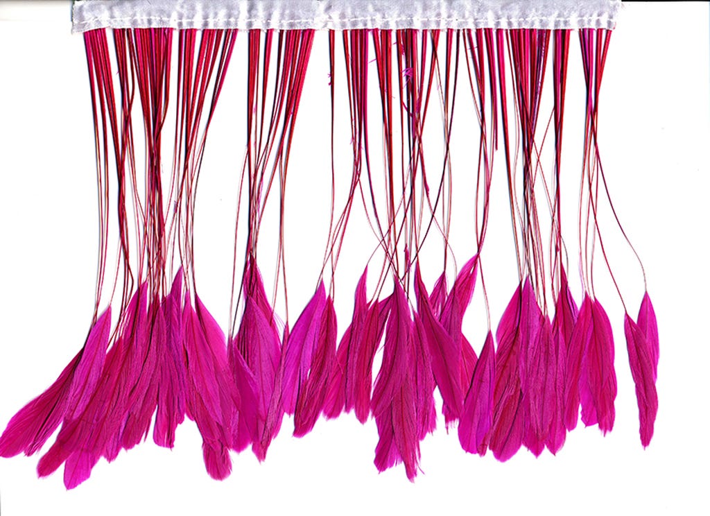 Rooster Stripped Coque Bleached Fringe With Bias 6-8 inch   1/4yd --Shocking Pink