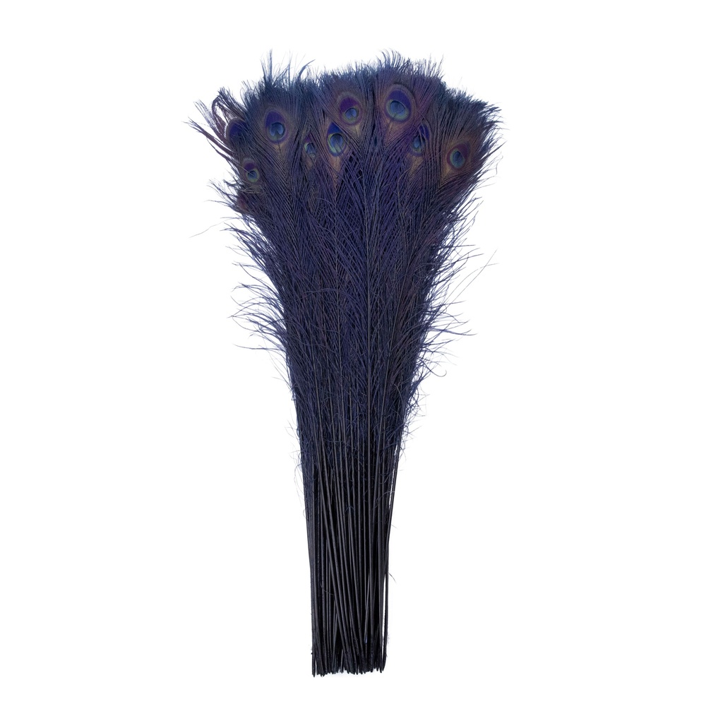 Peacock Eyes Bleach Selected 25-40 inch --Navy