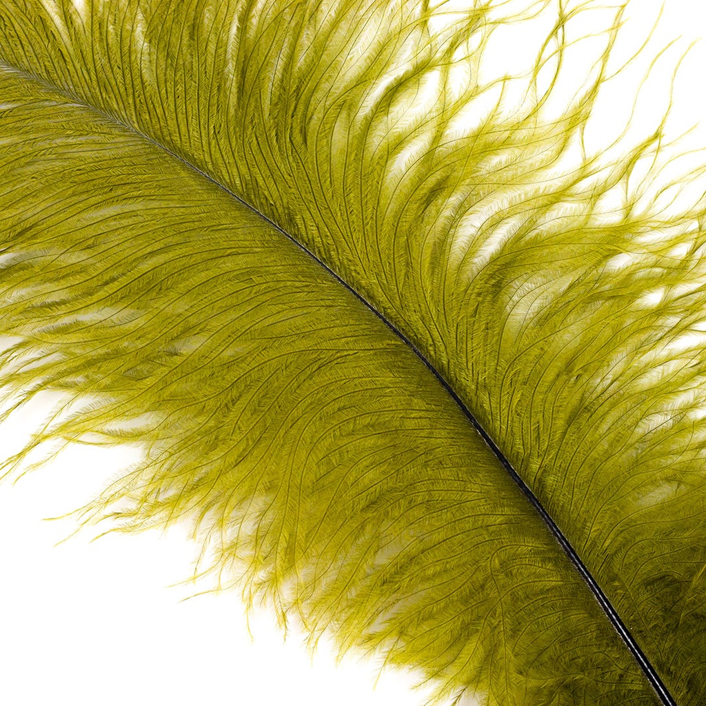 Ostrich Plumes Selected 17 inch & UP   1PC PKG --Olive