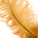 Ostrich Plumes Selected 17 inch & UP   1PC PKG --Toasted Almond