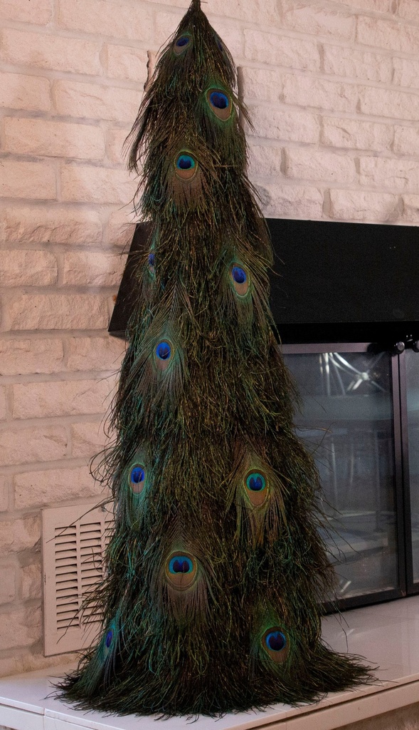 Peacock Flue & Eye Tree 42 inch --Natural