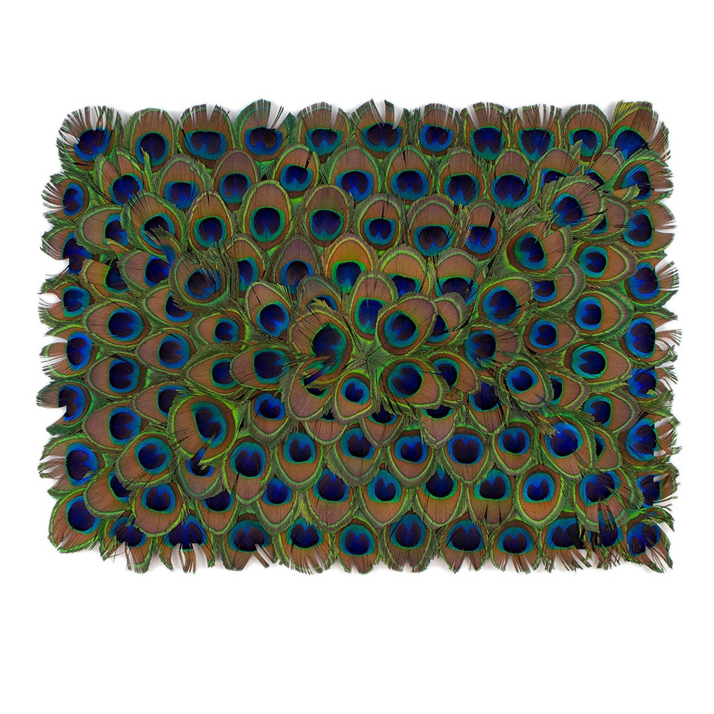 Feather Placemat Peacock 16 x 14 inch --Natural