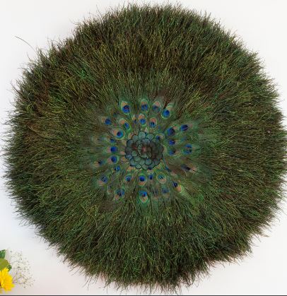 Juju Hat Natural Iridescent Peacock Flue Wall Art on 22 inch Wood Base 31-35 inch DIA --Natural/Bronze