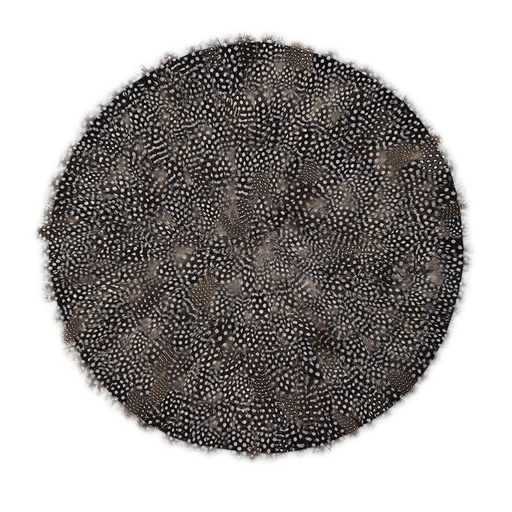 [FHD008--N] Feather Placemat Guinea Plumage 16 inch Dia --Natural